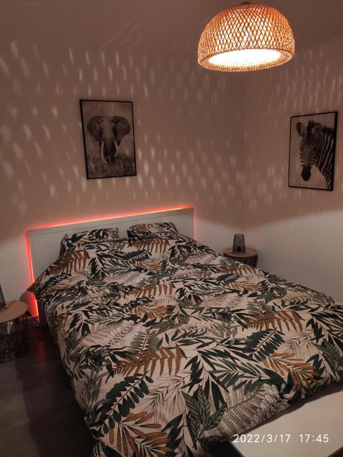 Les Tamaris Daire Arles Dış mekan fotoğraf